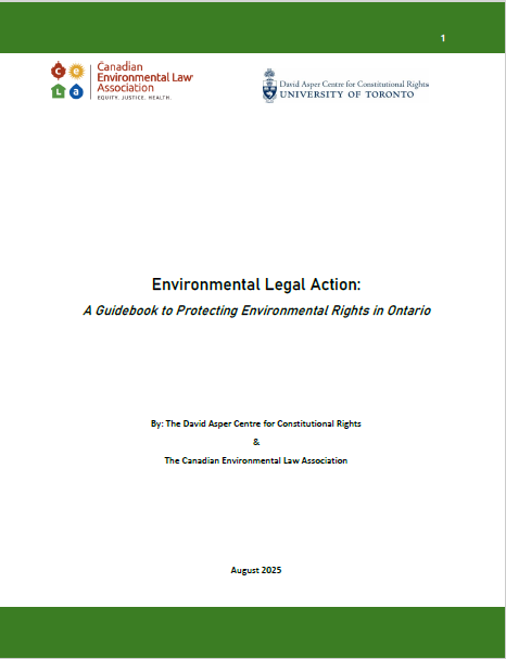 Environmental Legal Action Guide